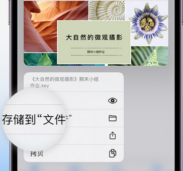 徽县apple维修中心分享iPhone文件应用中存储和找到下载文件