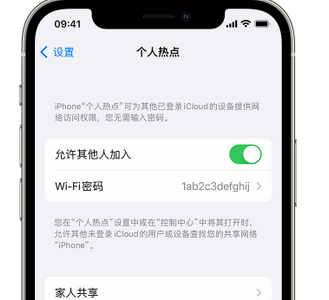 徽县apple服务站点分享iPhone上个人热点丢失了怎么办