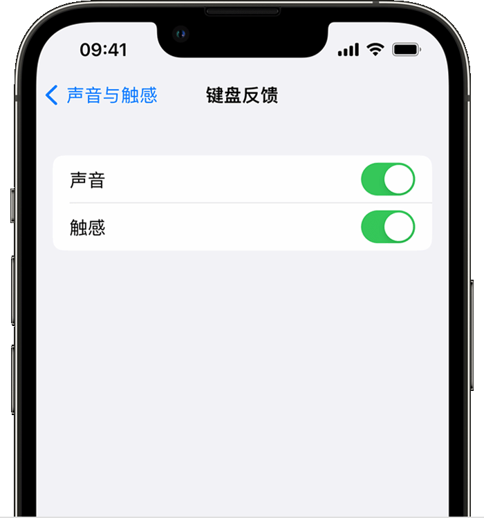 徽县苹果14维修店分享如何在 iPhone 14 机型中使用触感键盘 