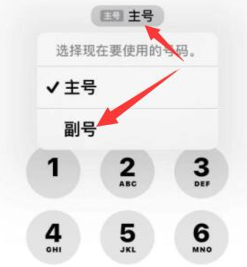 徽县苹果14维修店分享iPhone 14 Pro Max使用副卡打电话的方法 