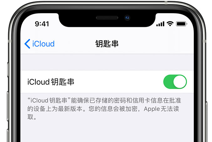 徽县苹果手机维修分享在 iPhone 上开启 iCloud 钥匙串之后会储存哪些信息 