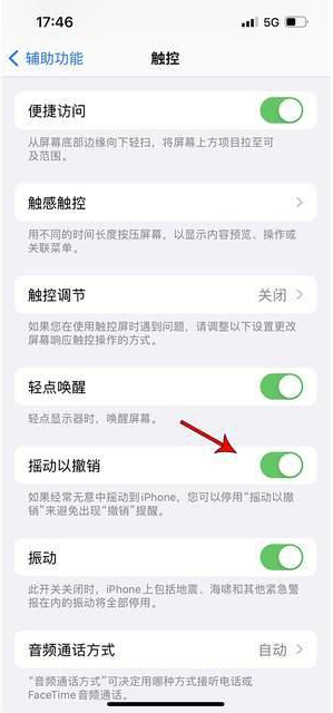 徽县苹果手机维修分享iPhone手机如何设置摇一摇删除文字 